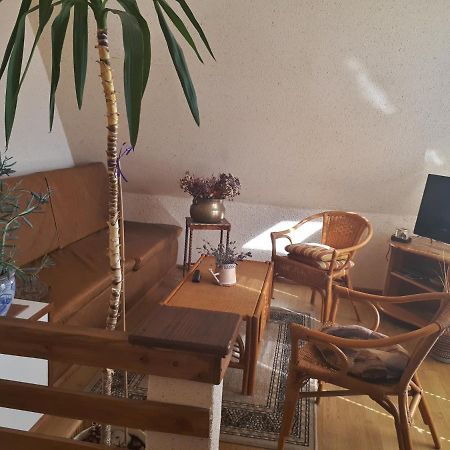 Pokoje Goscinne "Olenka" Miedzyzdroje Esterno foto